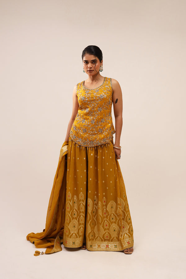 Zari Woven Sharara Set with Katdana, Mirror & Hand Embroidery