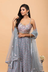 Light Grey Net Lehenga with Sequins