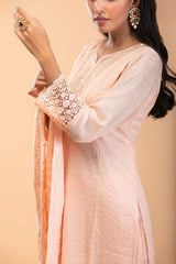 Salmon Pink Georgette Straight Suit