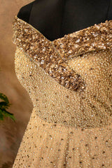 Golden Net Gown