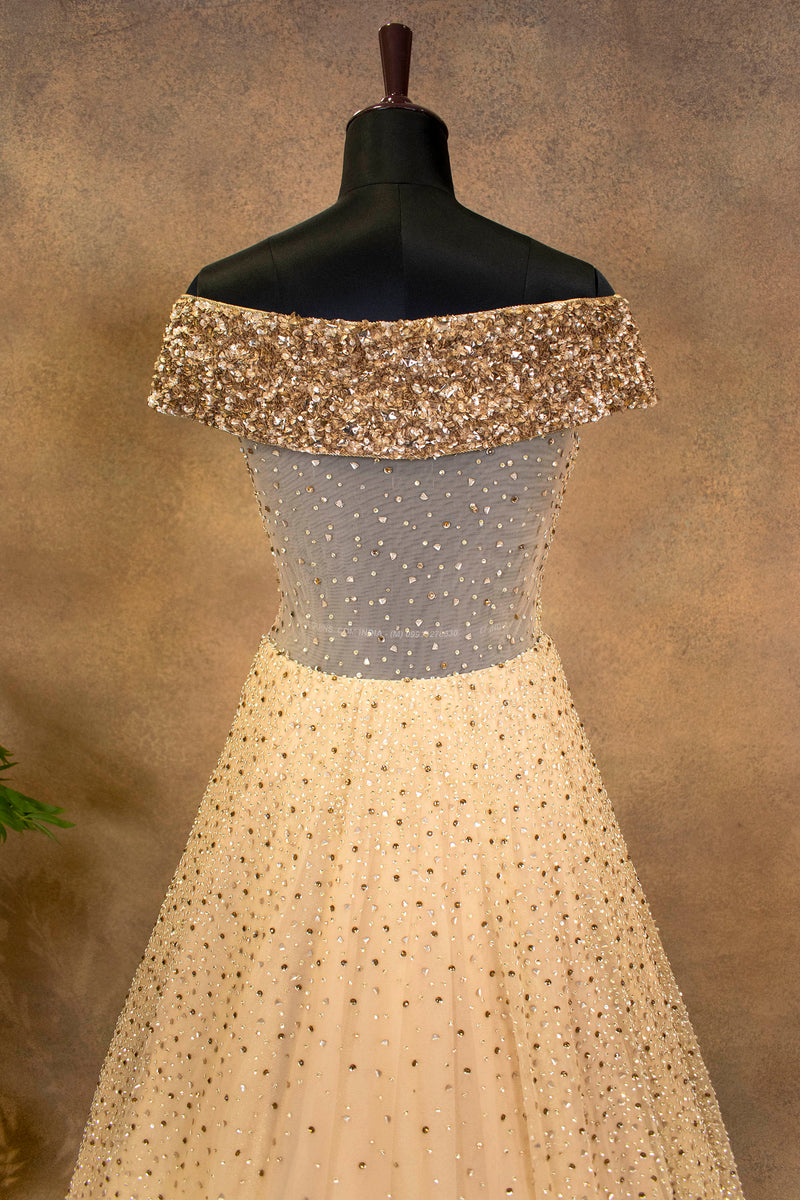 Golden Net Gown