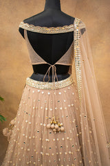 Golden Net Gown